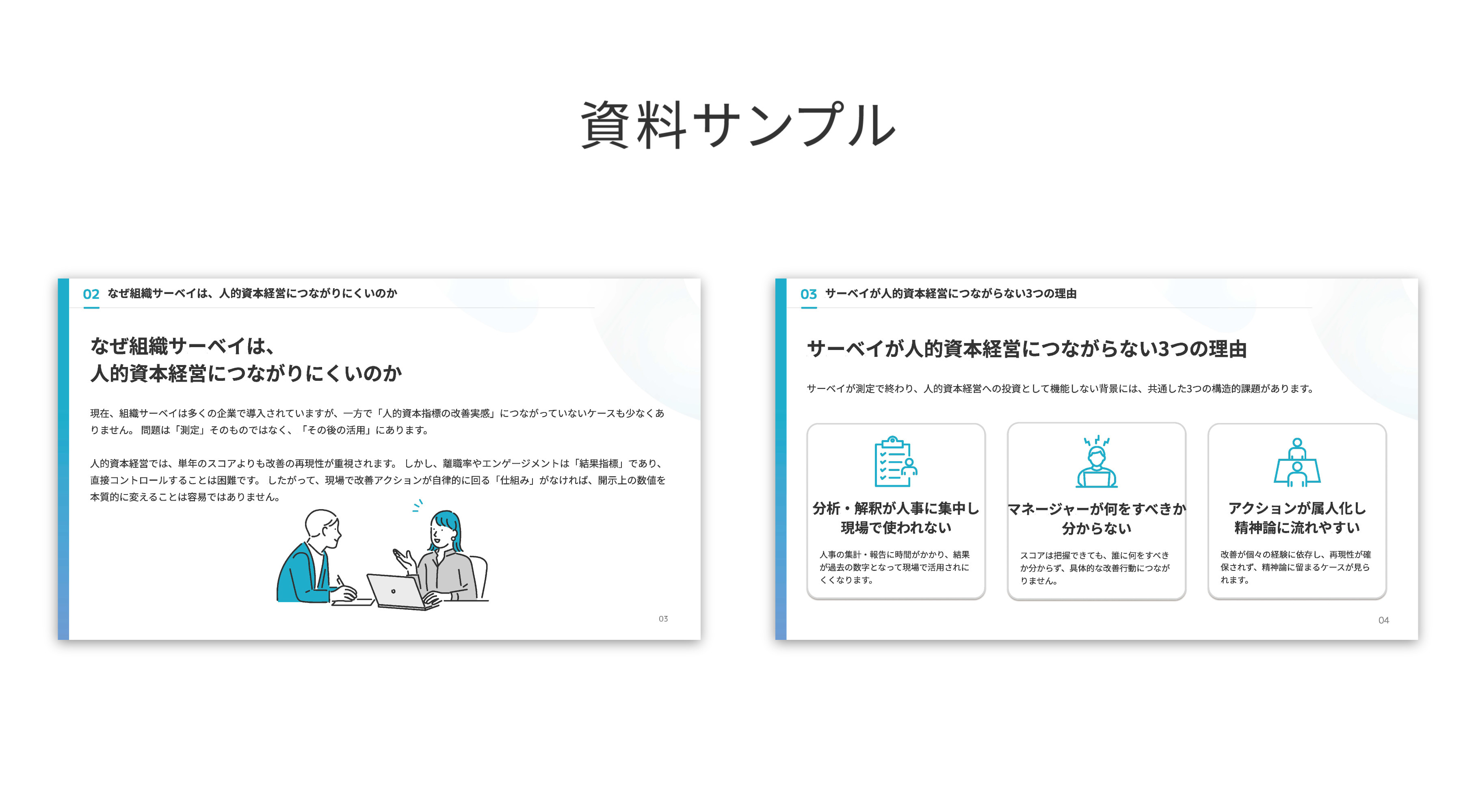 sample_companysurvey-humancapitalmanagement.jpg