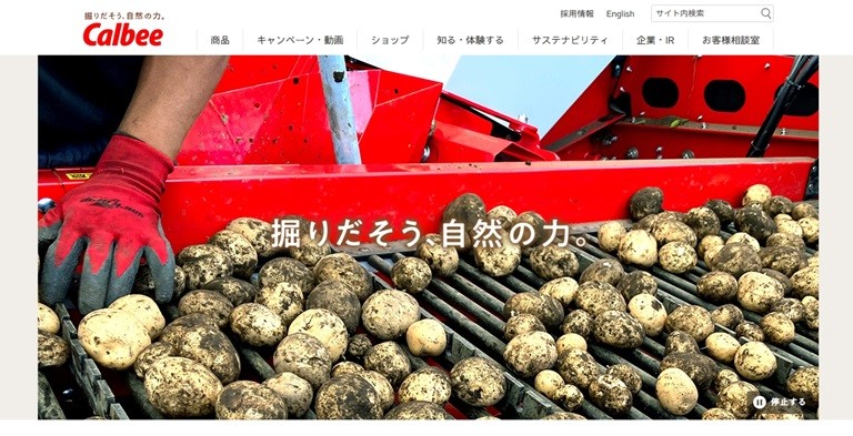 スクリーンショット_30-5-2025_133034_www.calbee.co.jp.jpeg